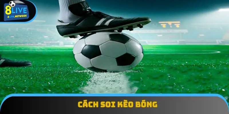 Cách Soi Kèo Bóng 8Live: Bí Quyết Nhận Định Thể Thao 2025